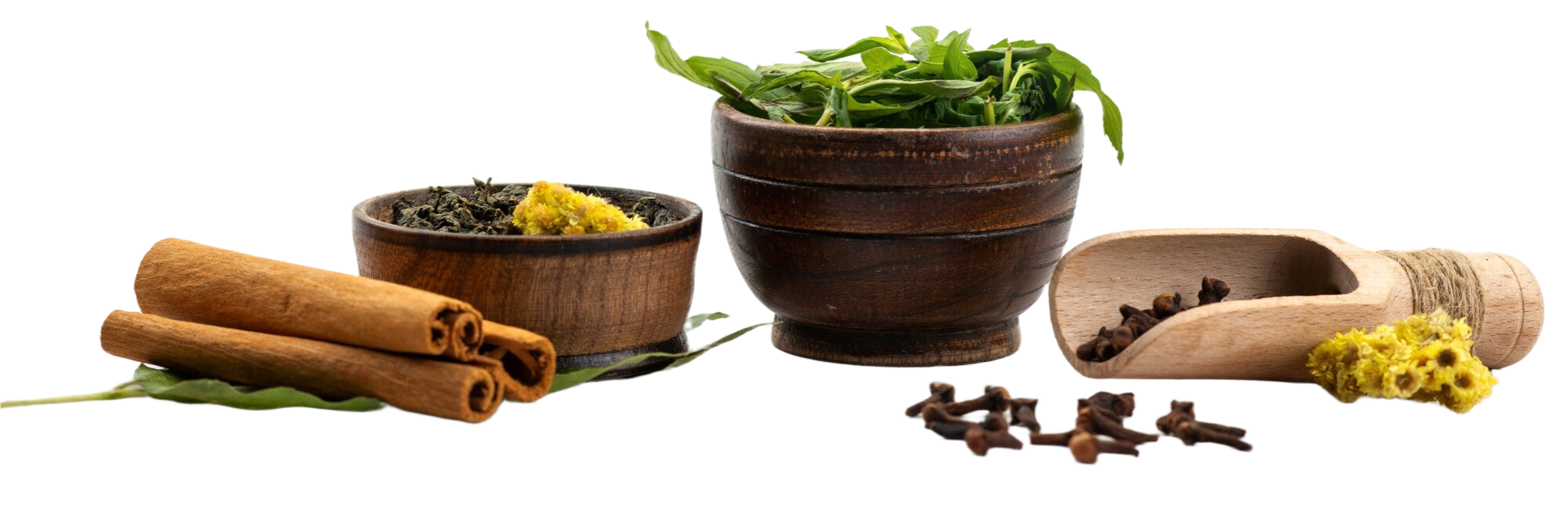 Ayurvedic consultation in Aaradhya Ayurveda clinic